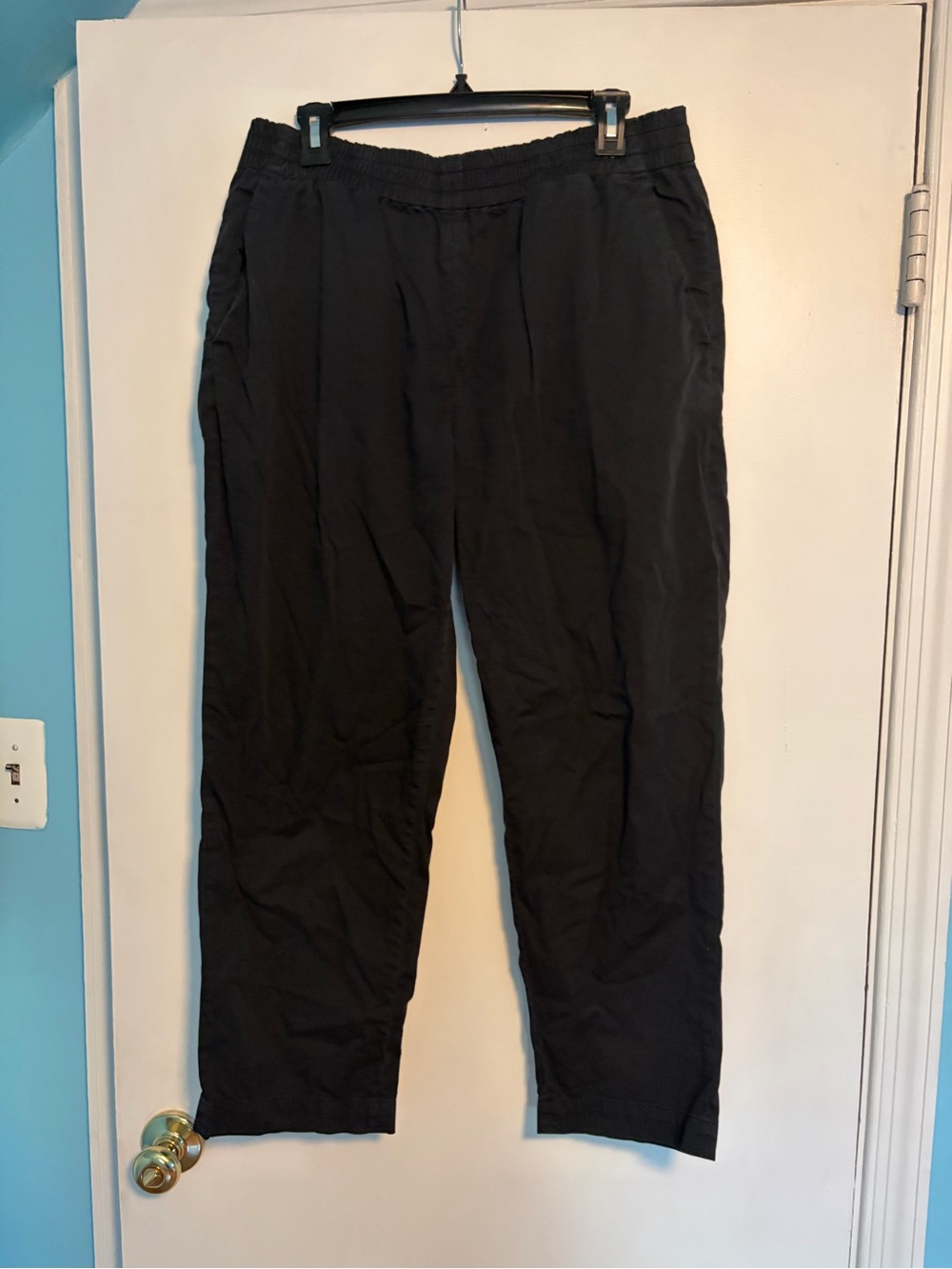 Everlane Pants